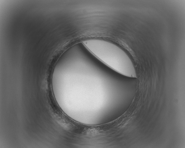 X0000073710635200608031041