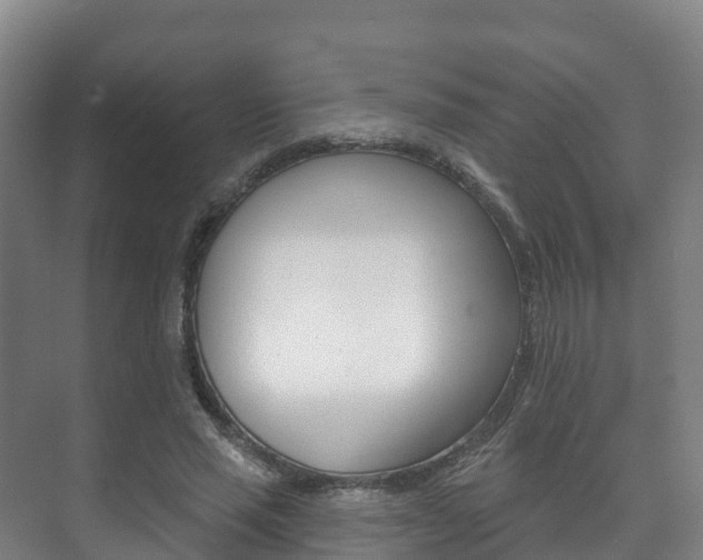 X0000073710637200608031041