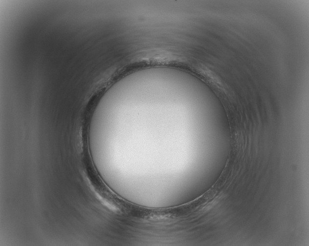 X0000073710638200608031041