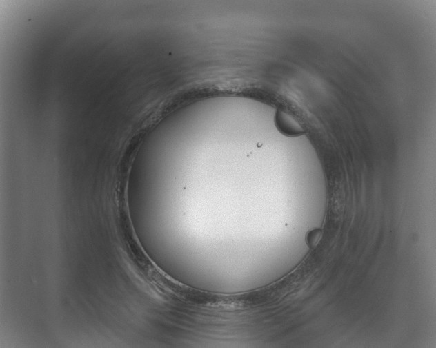 X0000073710639200608031041