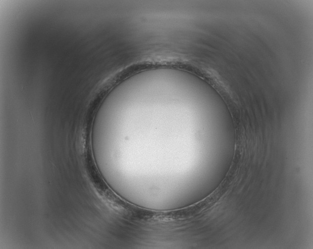 X0000073710640200608031041