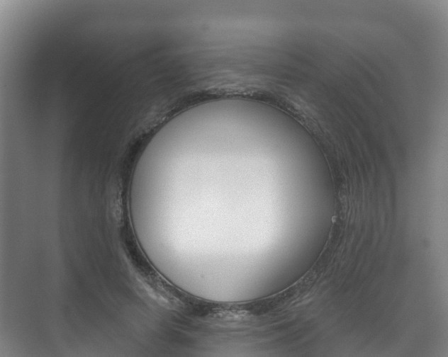 X0000073710642200608031041