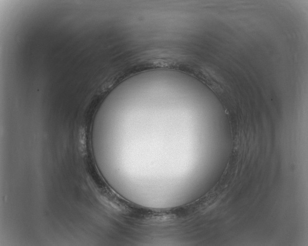 X0000073710646200608031041