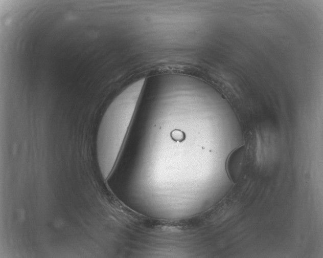 X0000073710649200608031041