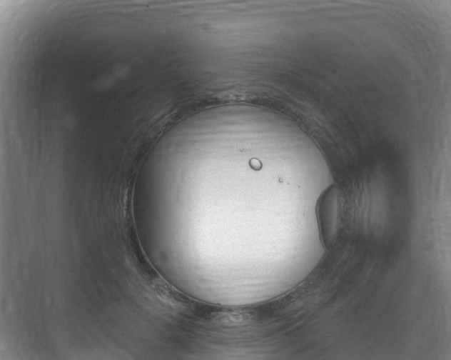 X0000073710652200608031041