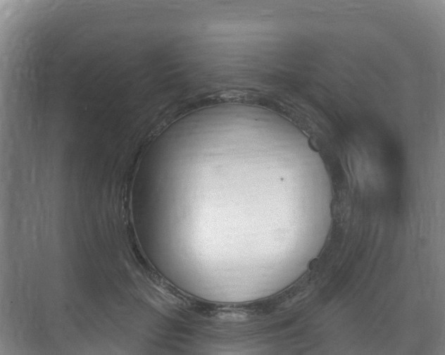 X0000073710653200608031042