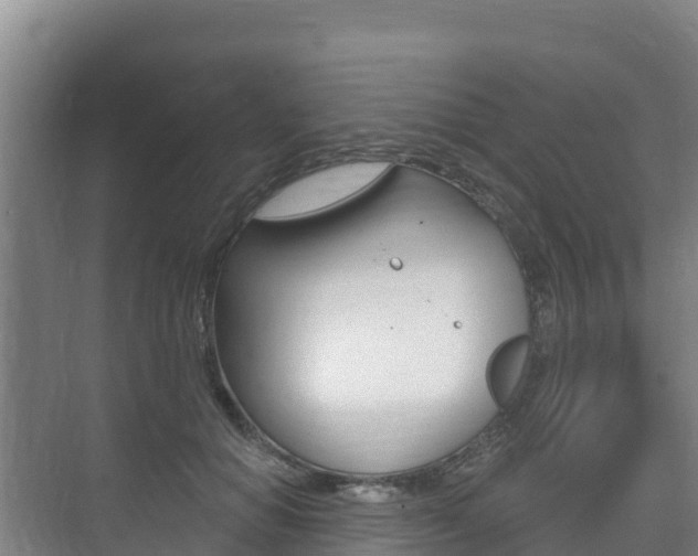 X0000073710654200608031042