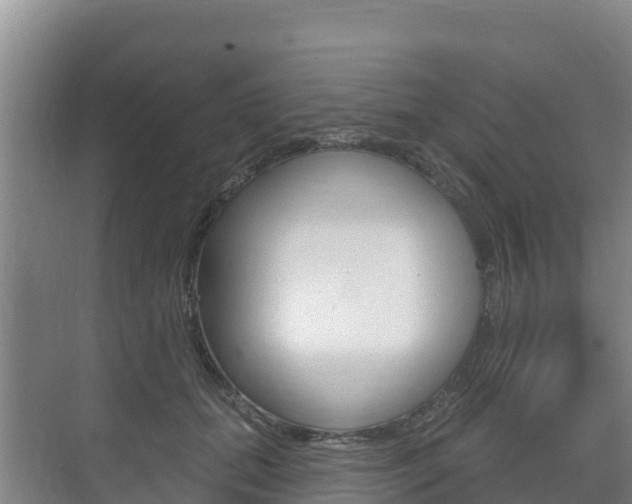 X0000073710655200608031042