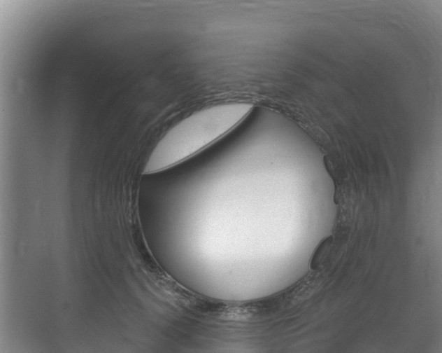 X0000073710656200608031042