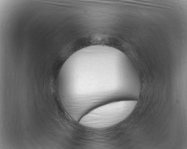 X0000073710659200608031042