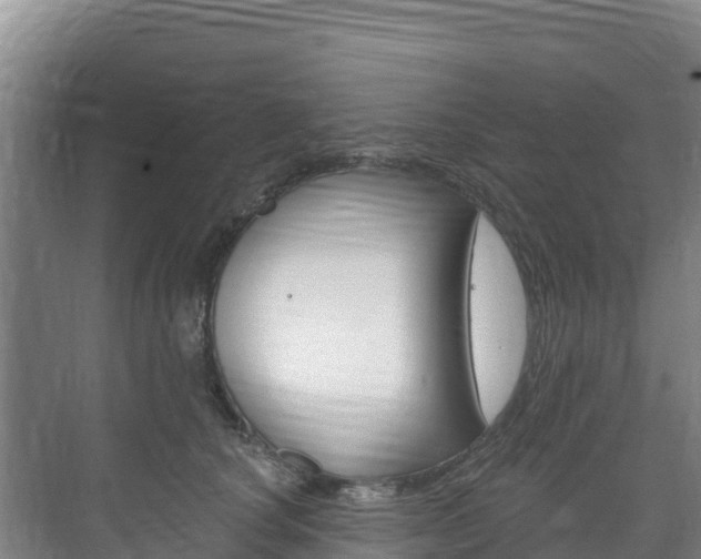 X0000073710660200608031042