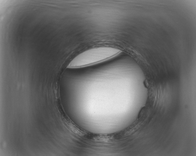 X0000073710661200608031042