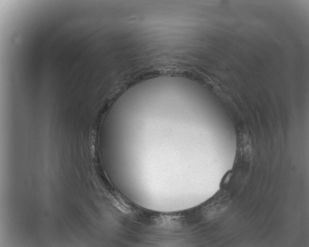 X0000073710664200608031042