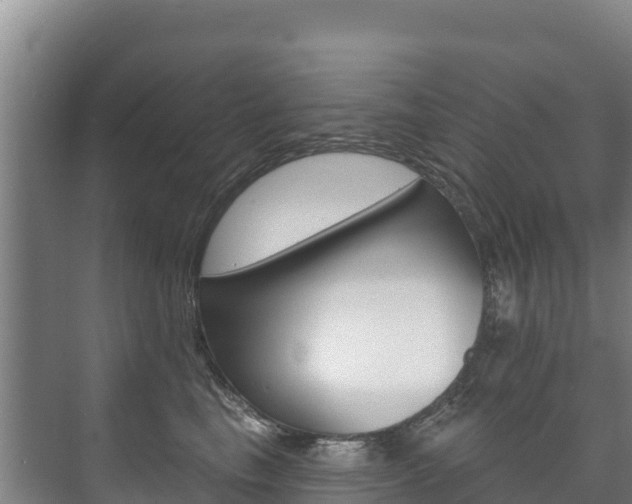 X0000073710665200608031042