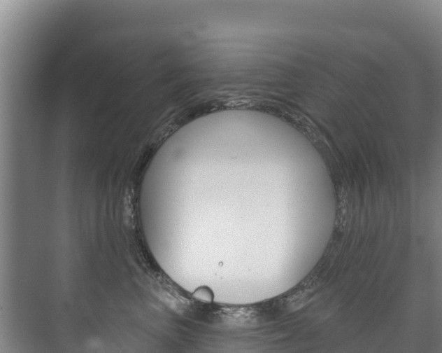 X0000073710667200608031042