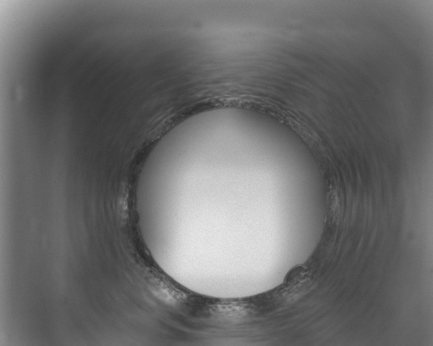 X0000073710668200608031042