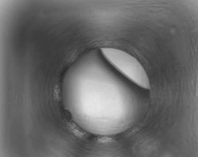 X0000073710669200608031042