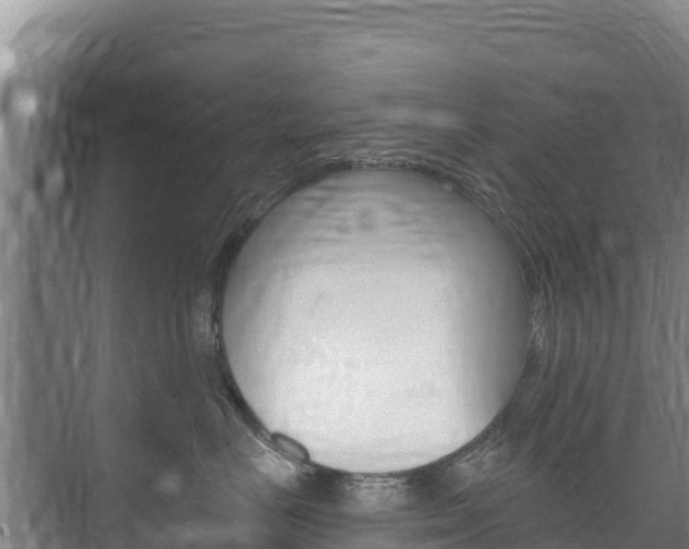 X0000073710670200608031042