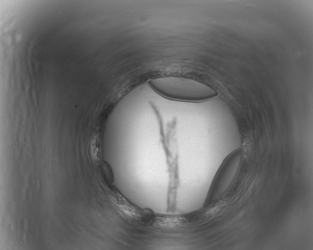 X0000073710671200608031042