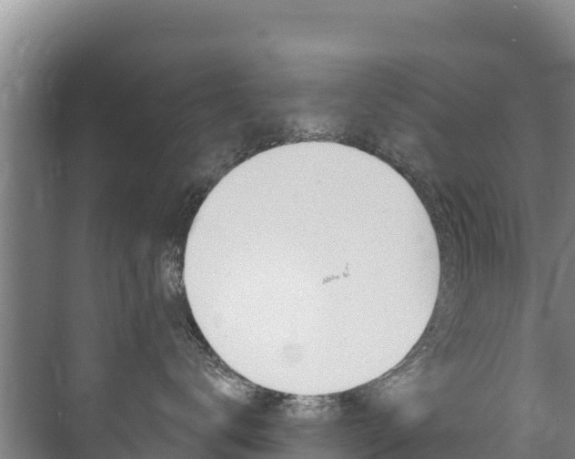 X0000073710672200608031042