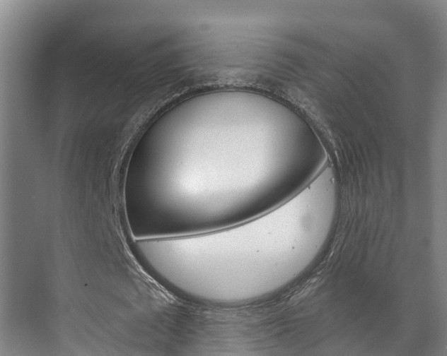 X0000073710673200608031041