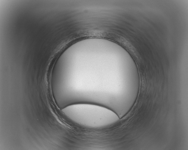 X0000073710674200608031041