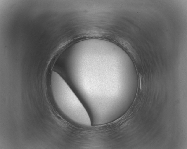 X0000073710675200608031041