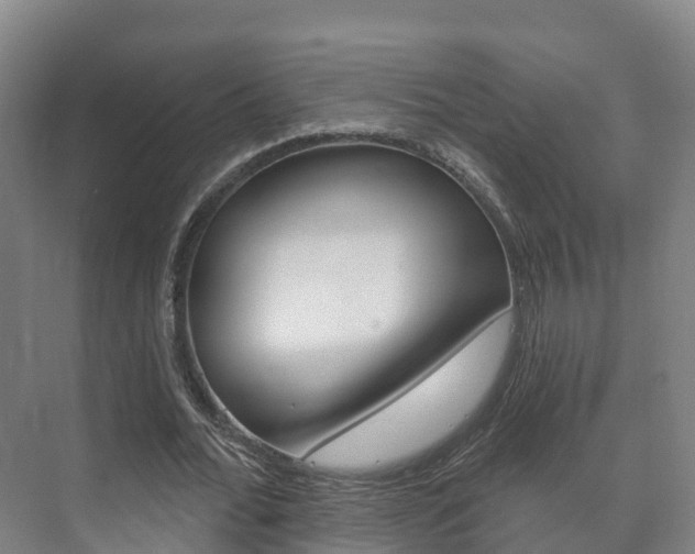 X0000073710676200608031041