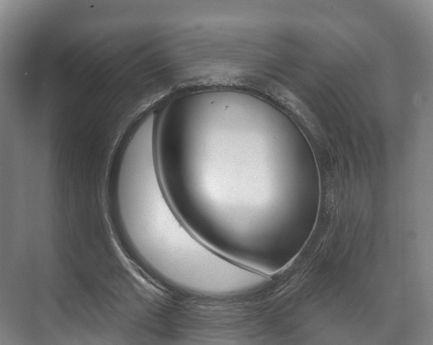 X0000073710677200608031041