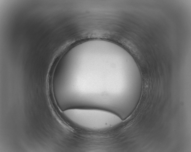 X0000073710678200608031041