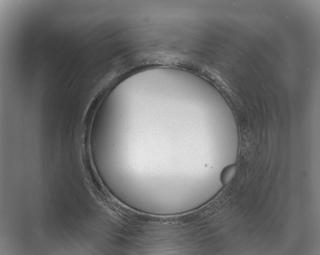 X0000073710679200608031041