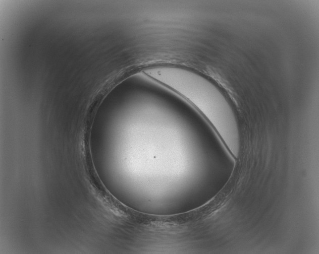 X0000073710681200608031041