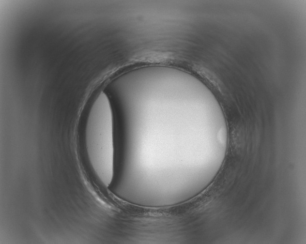 X0000073710682200608031041