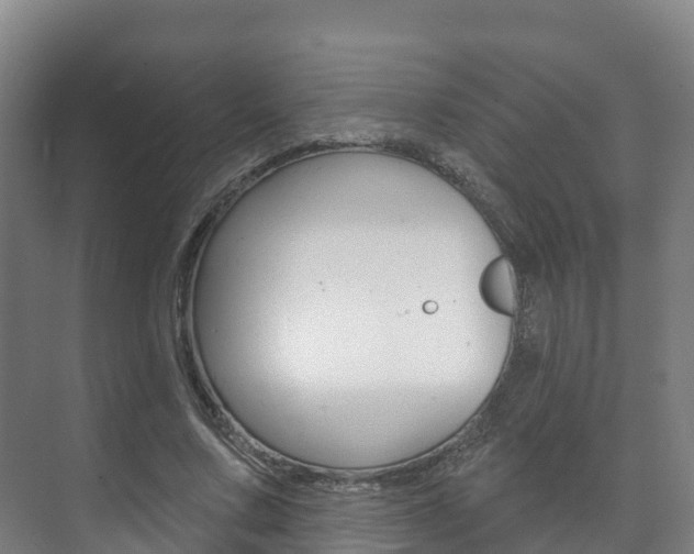 X0000073710683200608031041