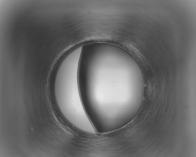 X0000073710684200608031041