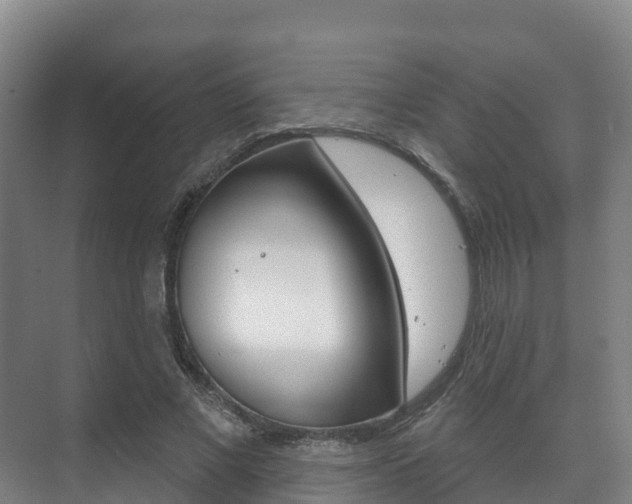 X0000073710685200608031041