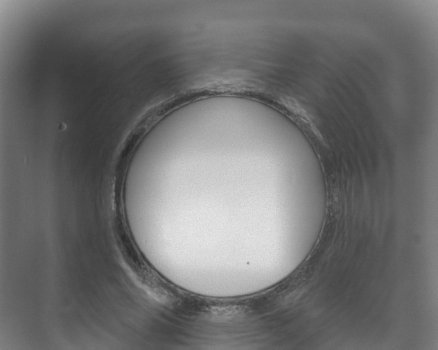 X0000073710686200608031041