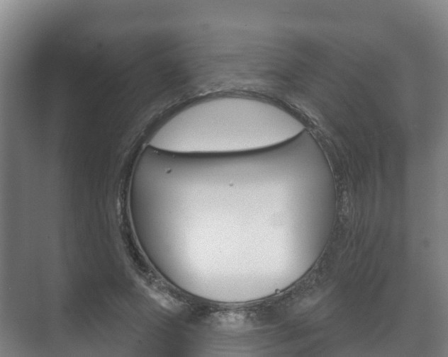 X0000073710687200608031041