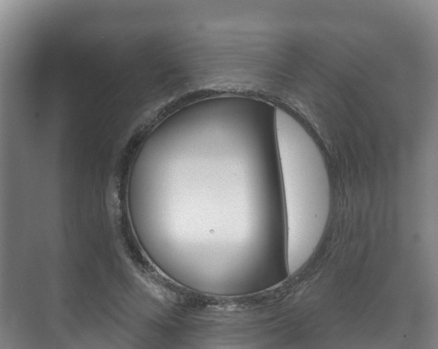 X0000073710688200608031041