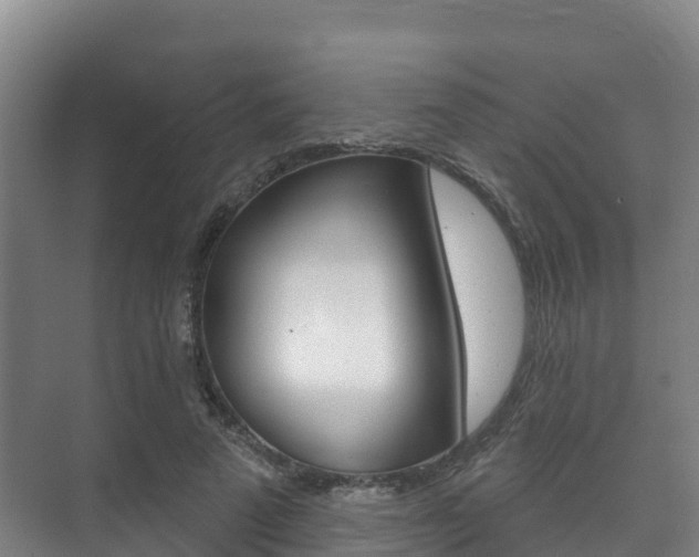 X0000073710689200608031041