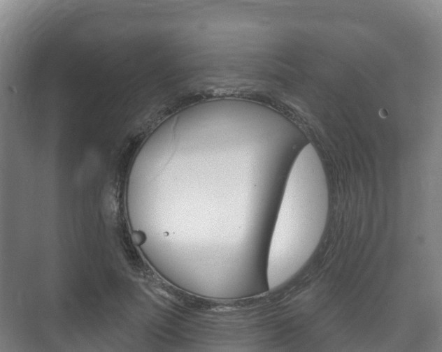 X0000073710691200608031041