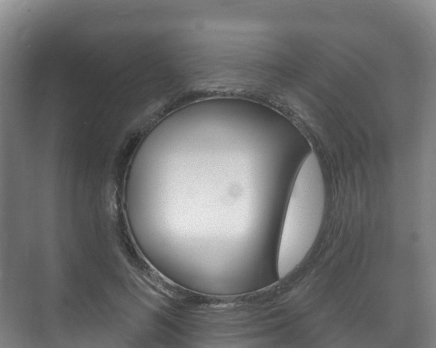 X0000073710692200608031041