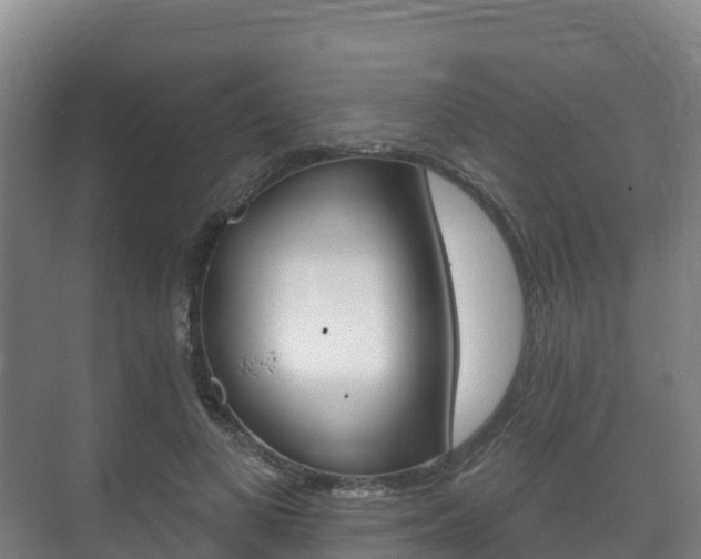 X0000073710693200608031041