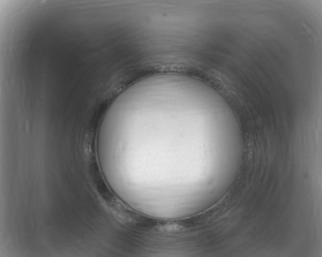 X0000073710695200608031041