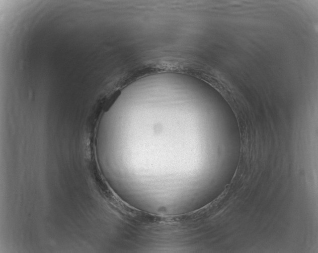 X0000073710696200608031041