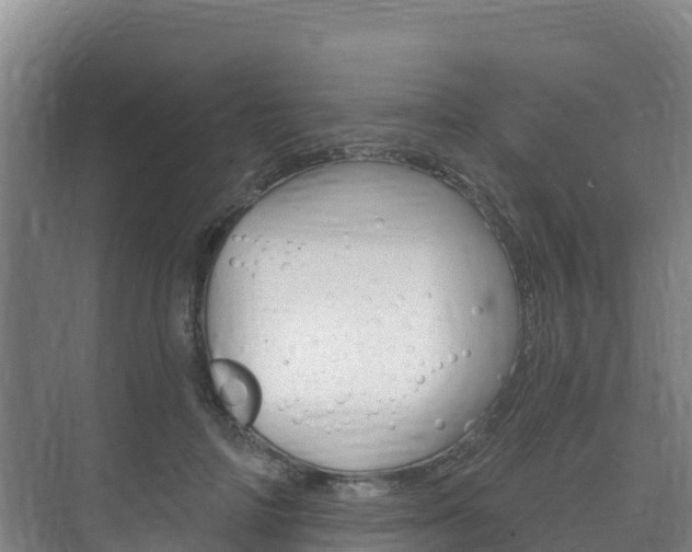 X0000073710698200608031041