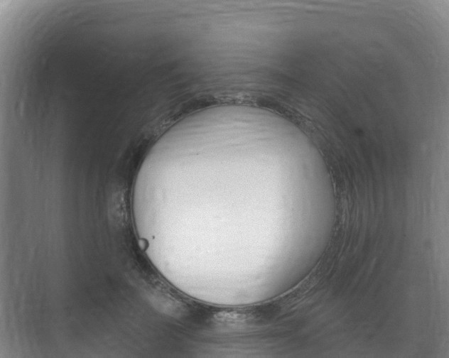 X0000073710699200608031041