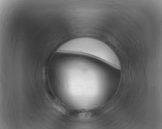 X0000073710700200608031041