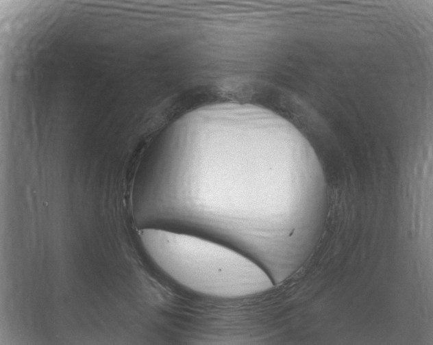 X0000073710702200608031041