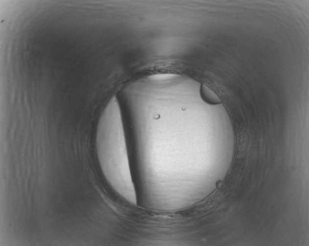 X0000073710703200608031041